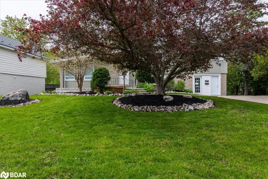 46 Eugenia Street, Barrie, ON - Outdoor