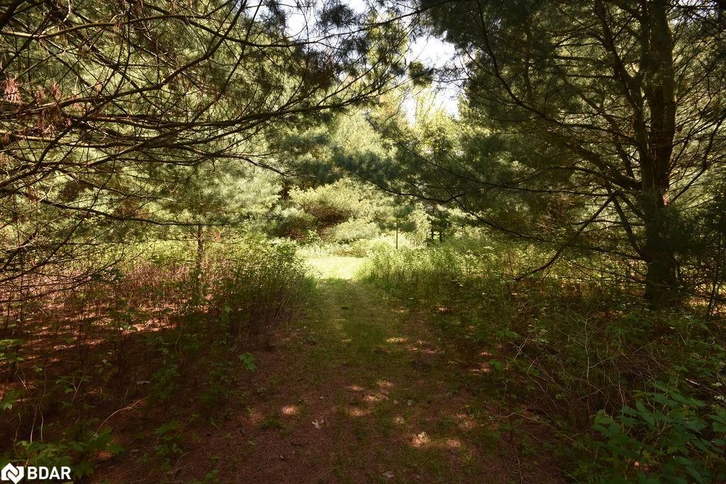 2 Sycamore Circle, Springwater, ON - Outdoor