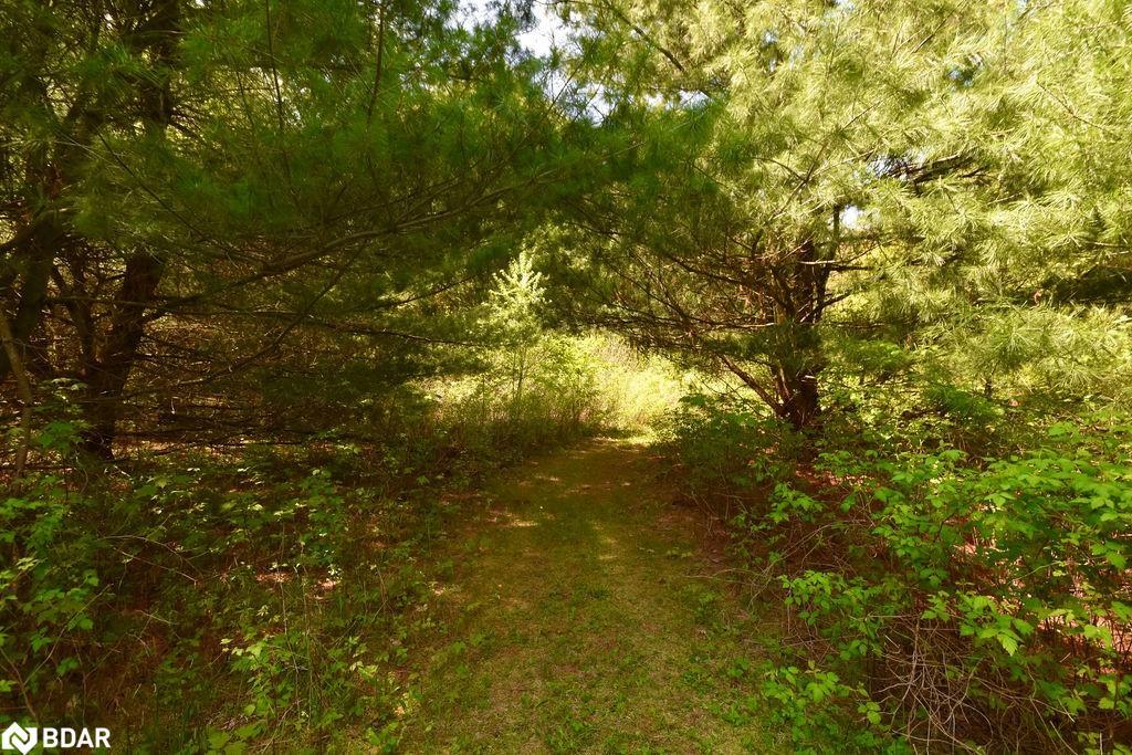 2 Sycamore Circle, Springwater, ON - Outdoor