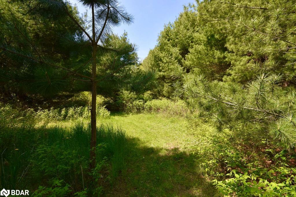 2 Sycamore Circle, Springwater, ON - Outdoor