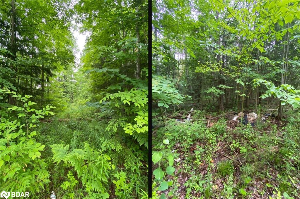 2580 6Th Line, Innisfil, ON