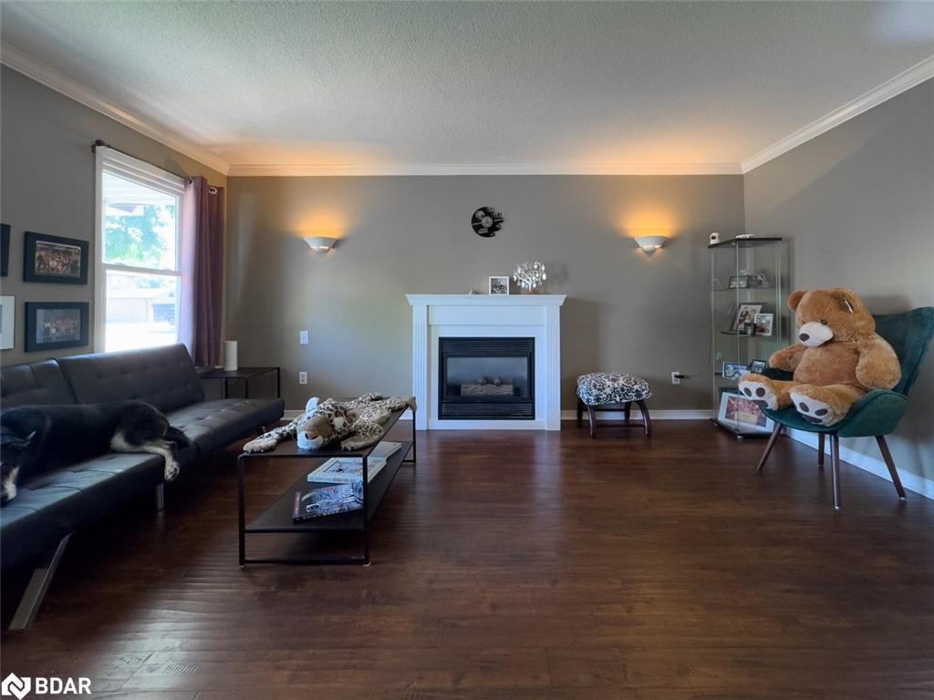 18 Cotswold Court, Georgetown, ON - Indoor Photo Showing Living Room With Fireplace