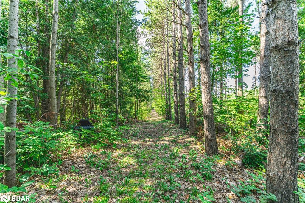 3891 9 Line N, Oro-Medonte, ON - Outdoor