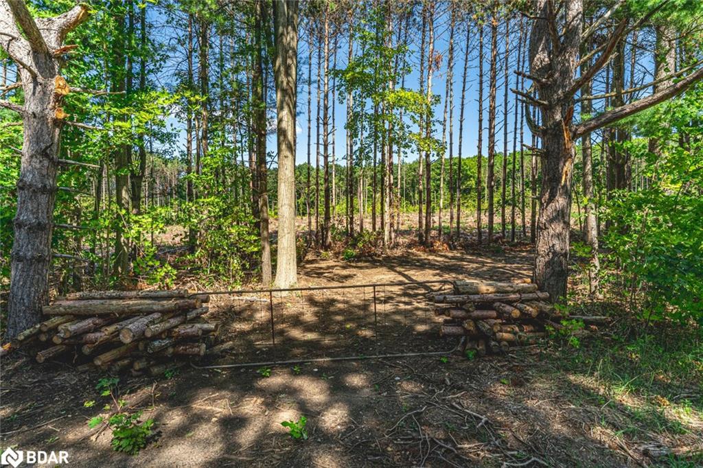 3891 9 Line N, Oro-Medonte, ON - Outdoor With View