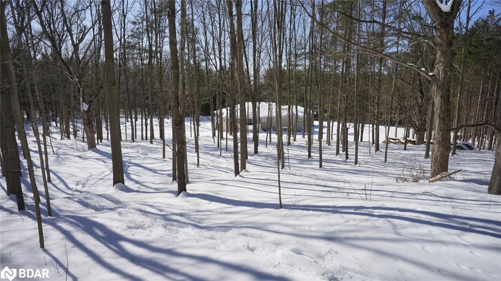 3891 9 Line N, Oro-Medonte, ON - Outdoor With View