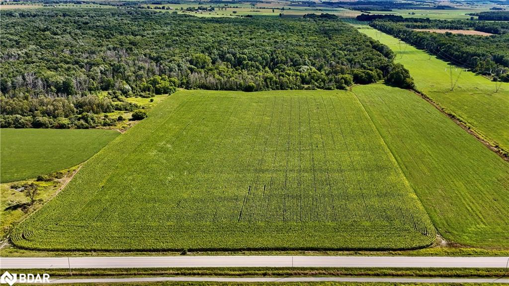 5231 13Th Line Lane, New Tecumseth, ON