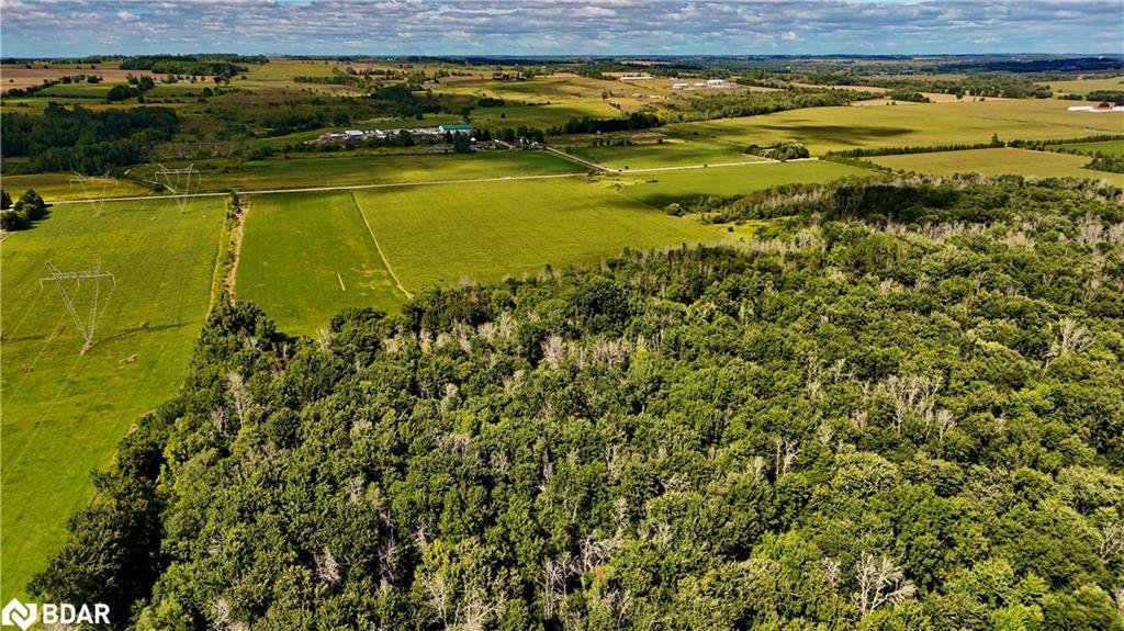 5231 13Th Line Lane, New Tecumseth, ON