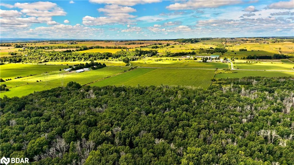 5231 13Th Line Lane, New Tecumseth, ON