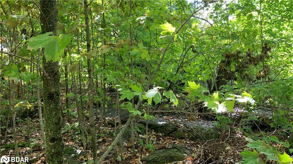 6569 Rama Road, Ramara, ON - Outdoor