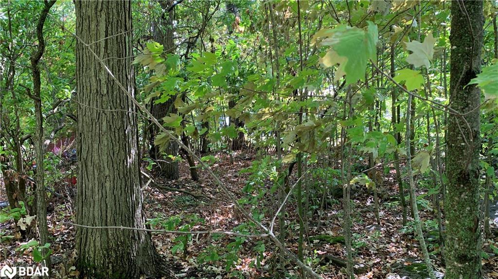 6569 Rama Road, Ramara, ON - Outdoor