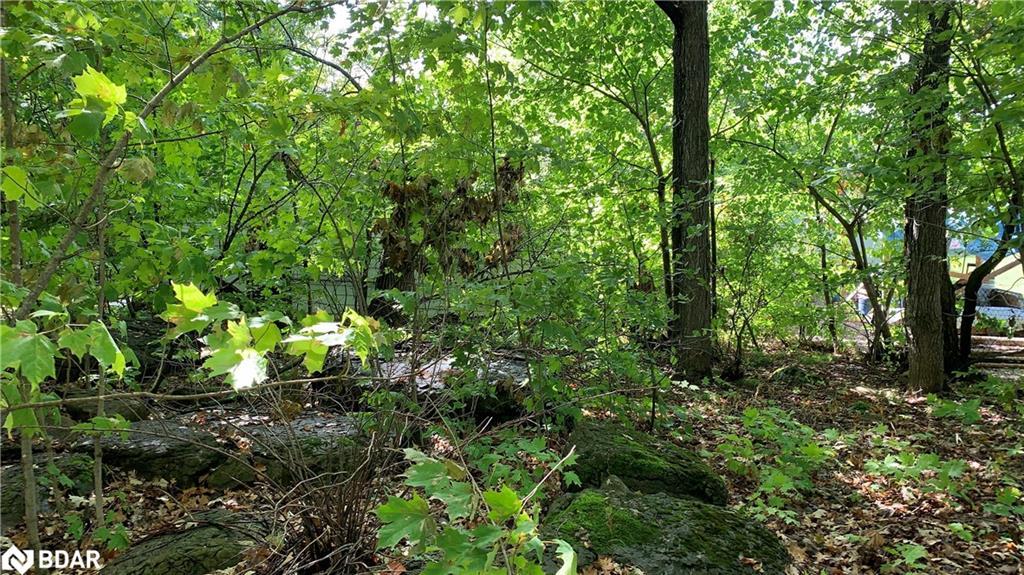 6569 Rama Road, Ramara, ON - Outdoor