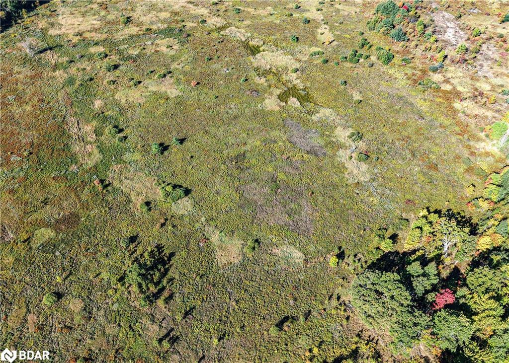 1969 Telford Line Line, Severn, ON