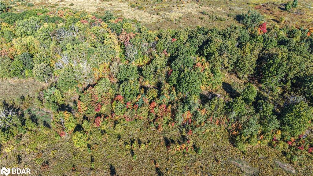 1969 Telford Line Line, Severn, ON