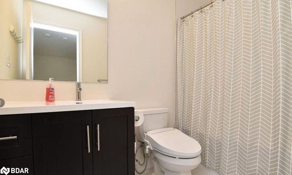 29 Hibiscus Lane, Hamilton, ON - Indoor Photo Showing Bathroom