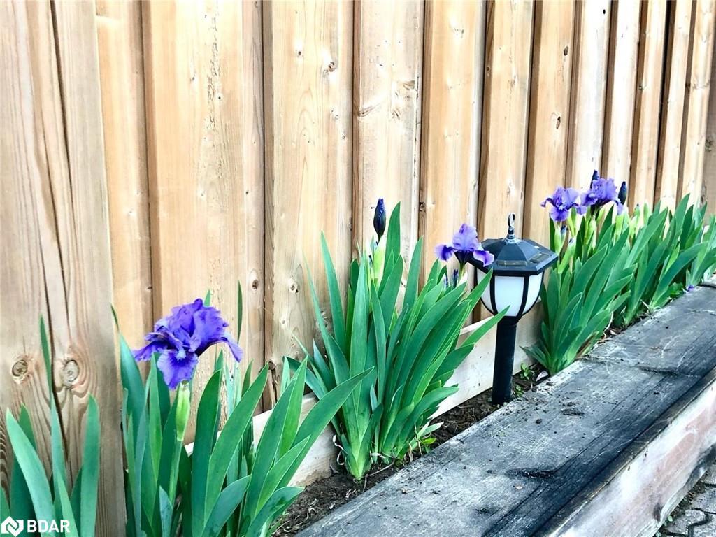 35 Glenridge Road, Barrie, ON - Indoor