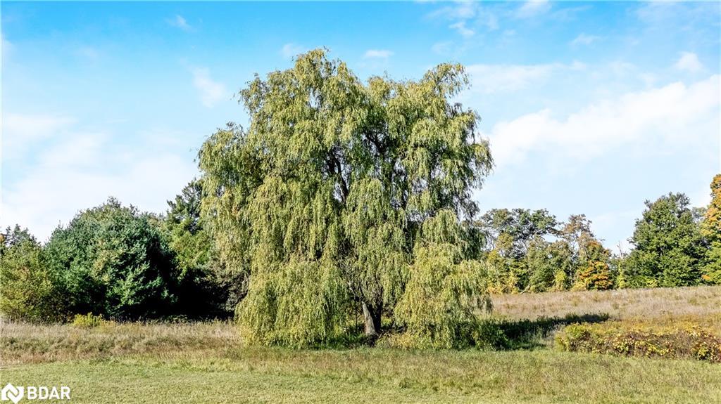 13968 9Th Line, Halton Hills, ON - Outdoor With View