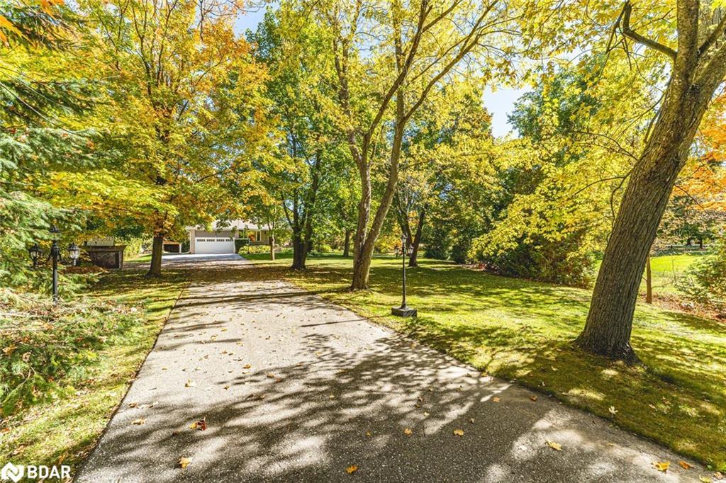 5853 Yonge Street, Innisfil, ON - Outdoor With View