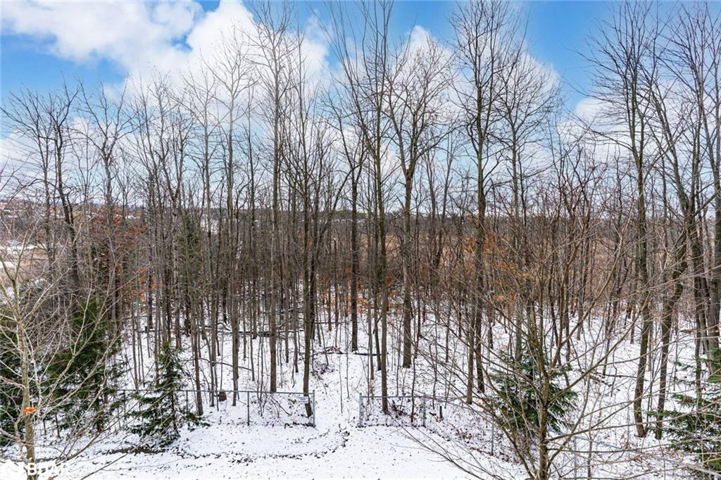 212-44 Ferndale Drive S, Barrie, ON - Outdoor With View