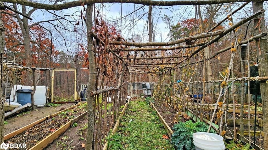 167 Little Avenue, Barrie, ON - Outdoor