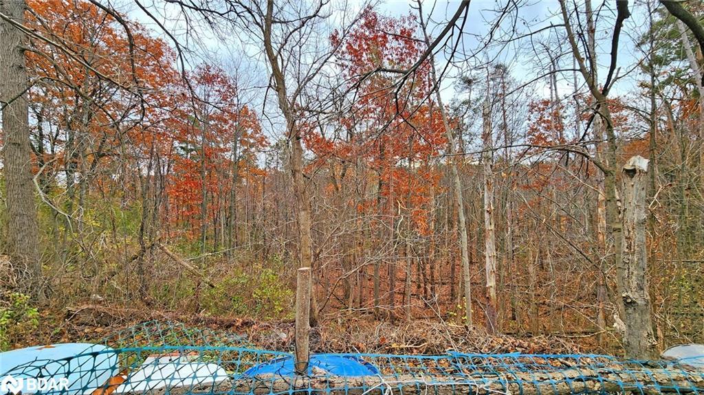 167 Little Avenue, Barrie, ON - Outdoor