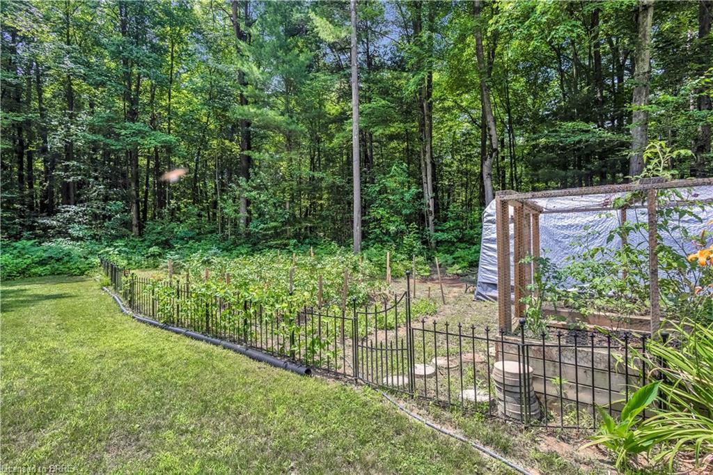 156 St Johns Road W, Simcoe, ON - Outdoor