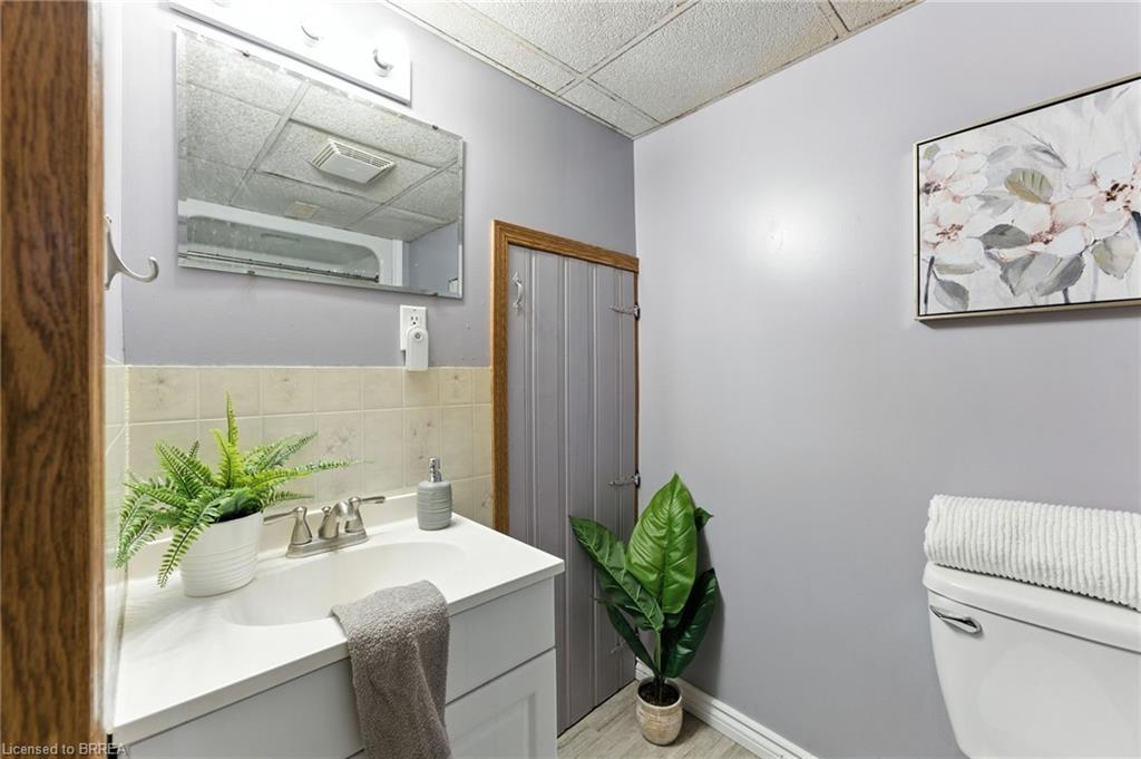 22 Mccammon Street, Paris, ON - Indoor Photo Showing Bathroom