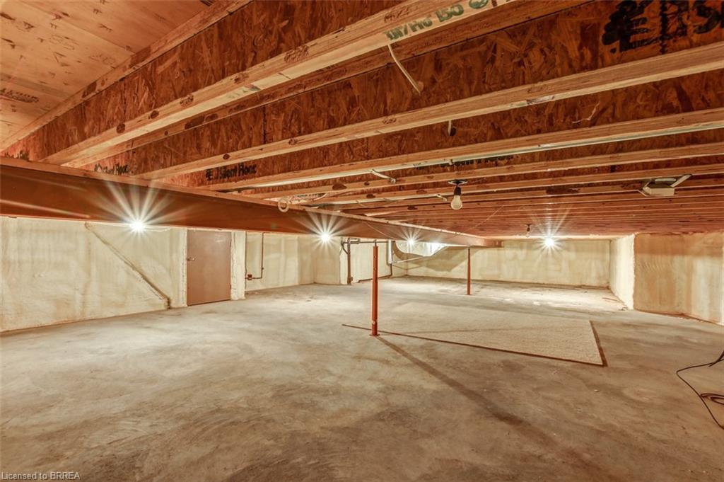 80 Race Street, Paris, ON - Indoor Photo Showing Basement