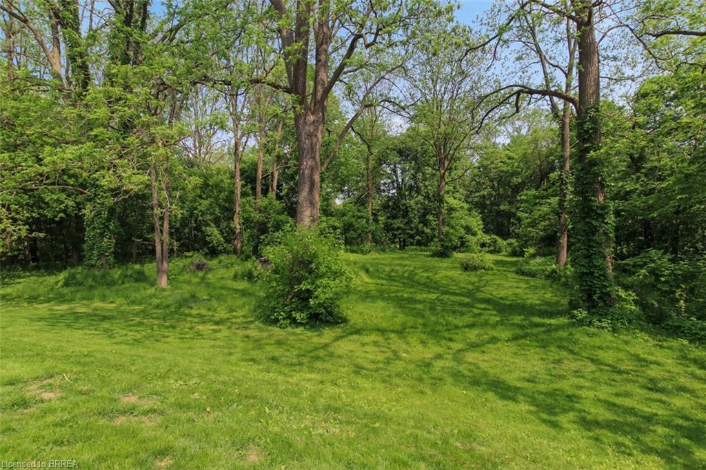 80 Race Street, Paris, ON - Outdoor