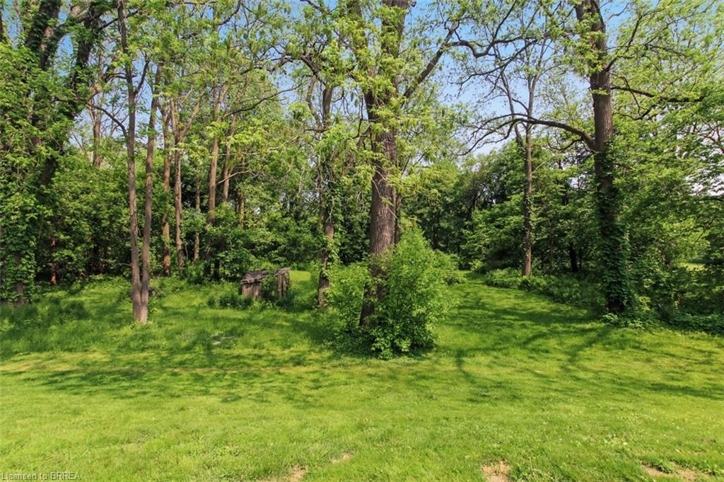 80 Race Street, Paris, ON - Outdoor