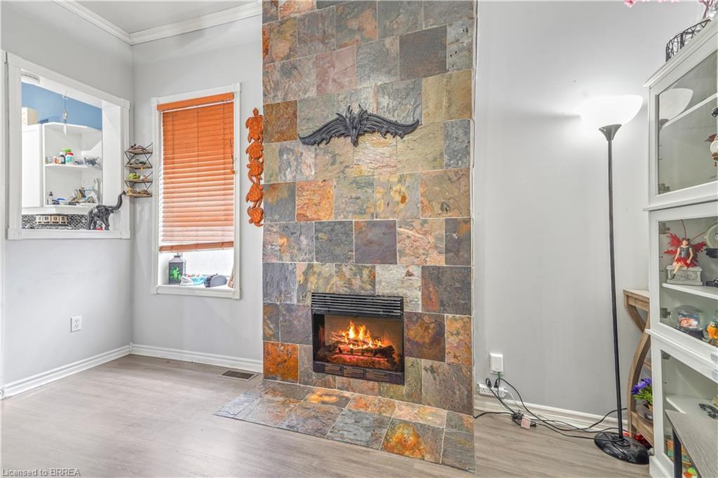 60 Terrace Hill Street, Brantford, ON - Indoor With Fireplace