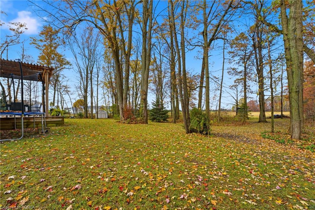 271 Windham 14 Road, Simcoe, ON - Outdoor With View