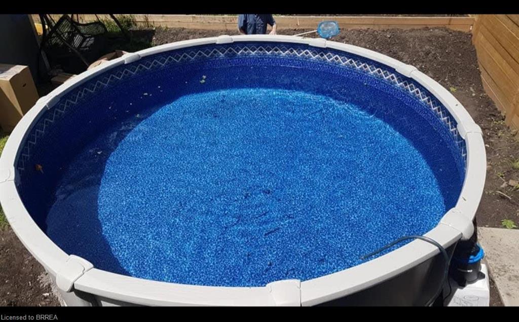 81 Strathcona Avenue, Brantford, ON - Outdoor With Above Ground Pool