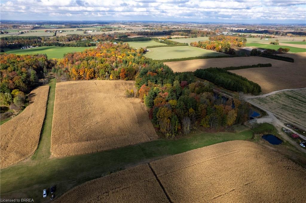 281 Concession 2 Townsend, Scotland, ON