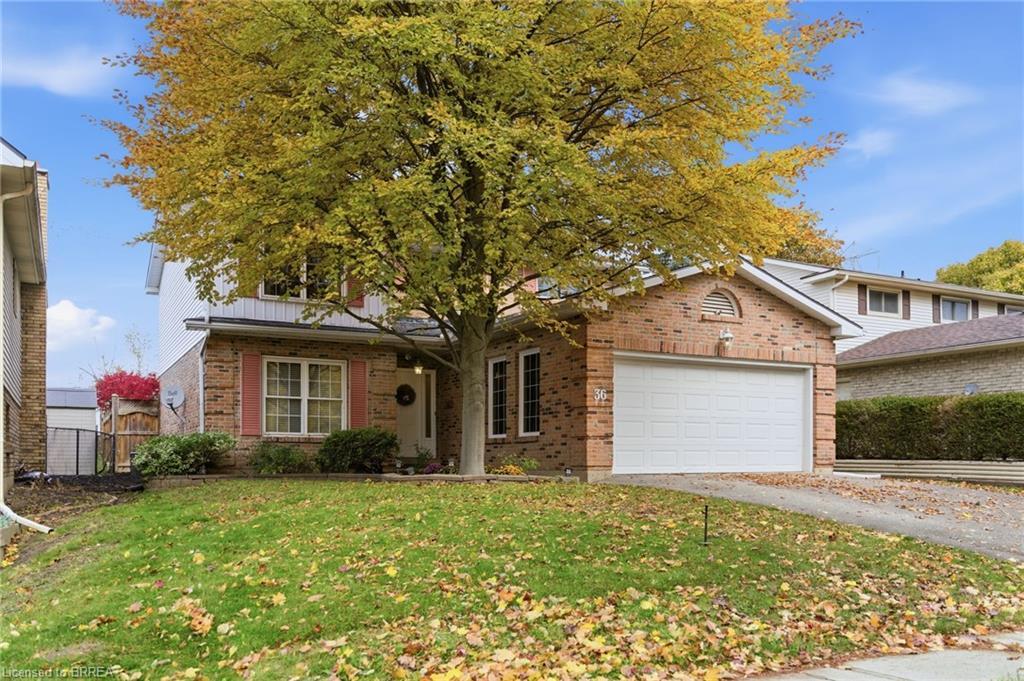 36 Black Locust Way, Brantford, ON - Outdoor