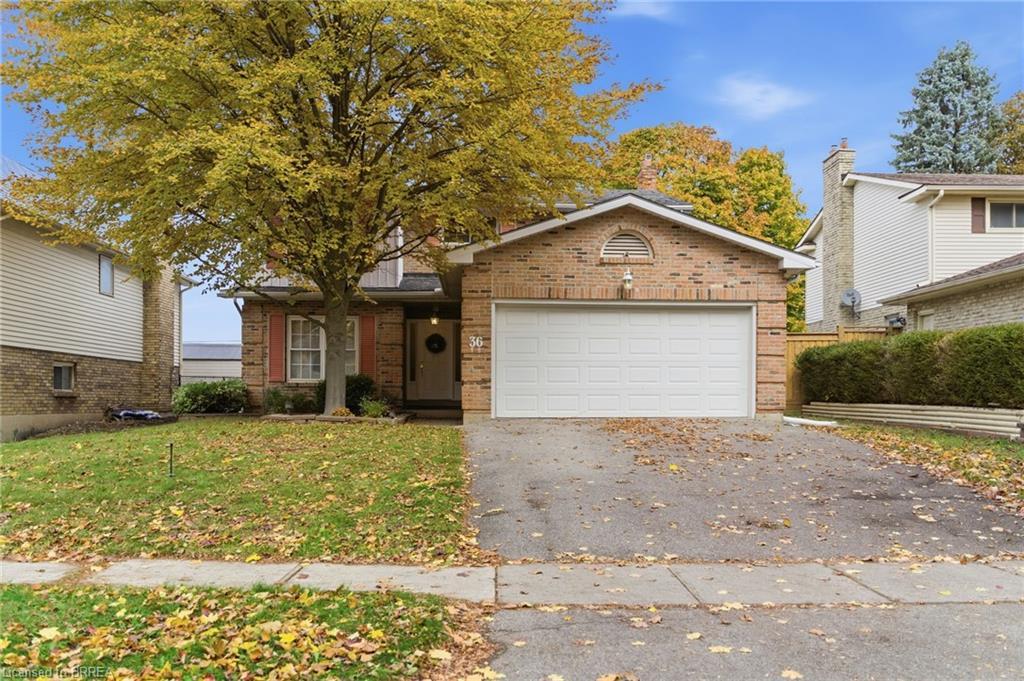 36 Black Locust Way, Brantford, ON - Outdoor