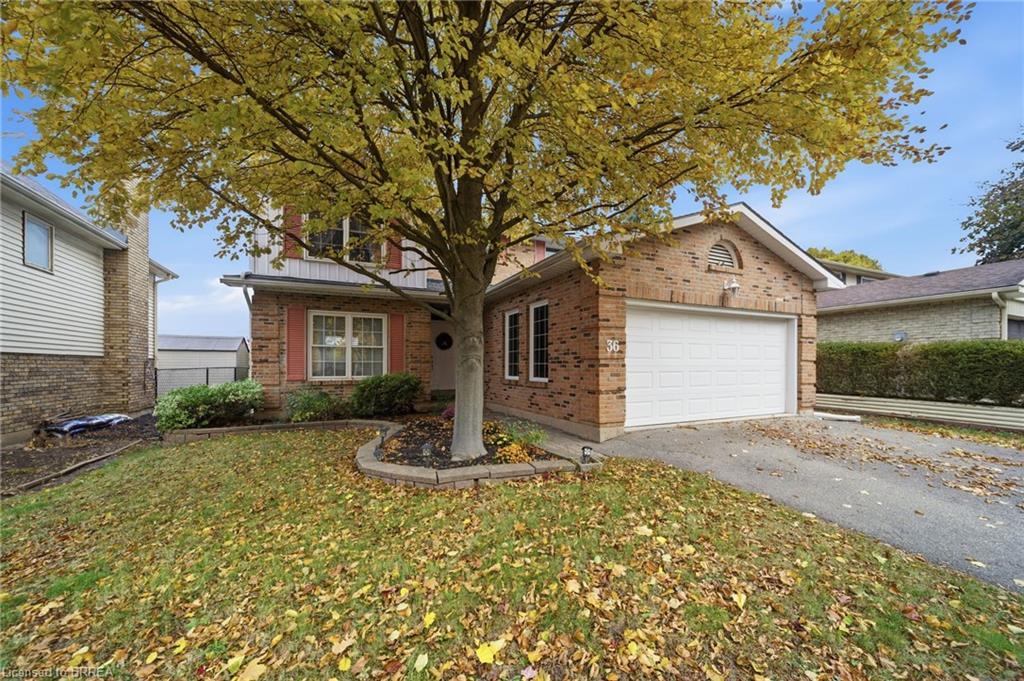 36 Black Locust Way, Brantford, ON - Outdoor