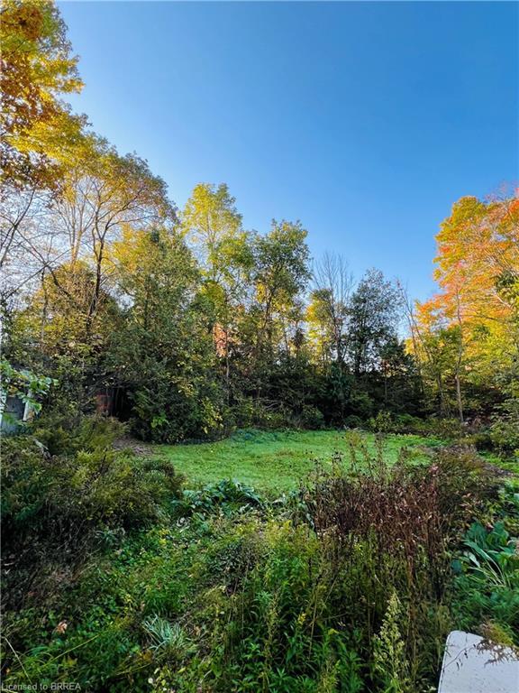 56 Sixth Concession Road, Burford, ON - Outdoor