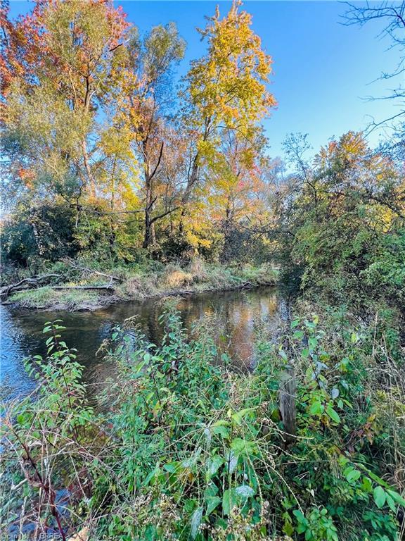 56 Sixth Concession Road, Burford, ON - Outdoor