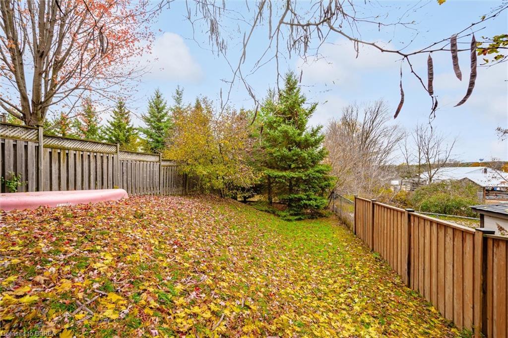 59 Patrick Boulevard, Elora, ON - Outdoor