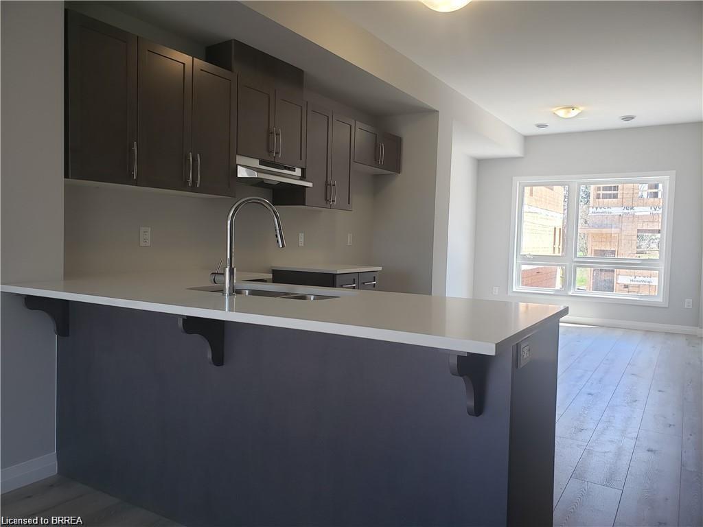 65-720 Grey Street, Brantford, ON - Indoor Photo Showing Kitchen With Double Sink