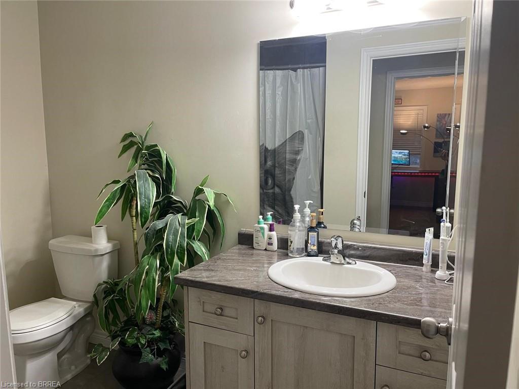 53 Arlington Parkway, Paris, ON - Indoor Photo Showing Bathroom