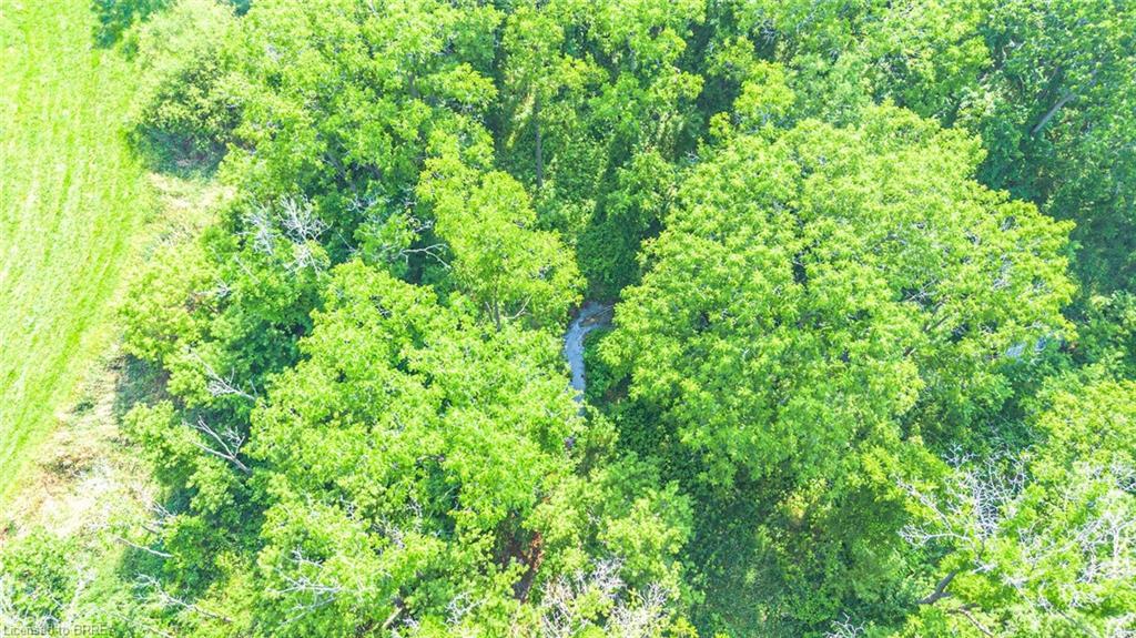 Pt Lt 15 Con 3 Norfolk County Road 19, Wilsonville, ON