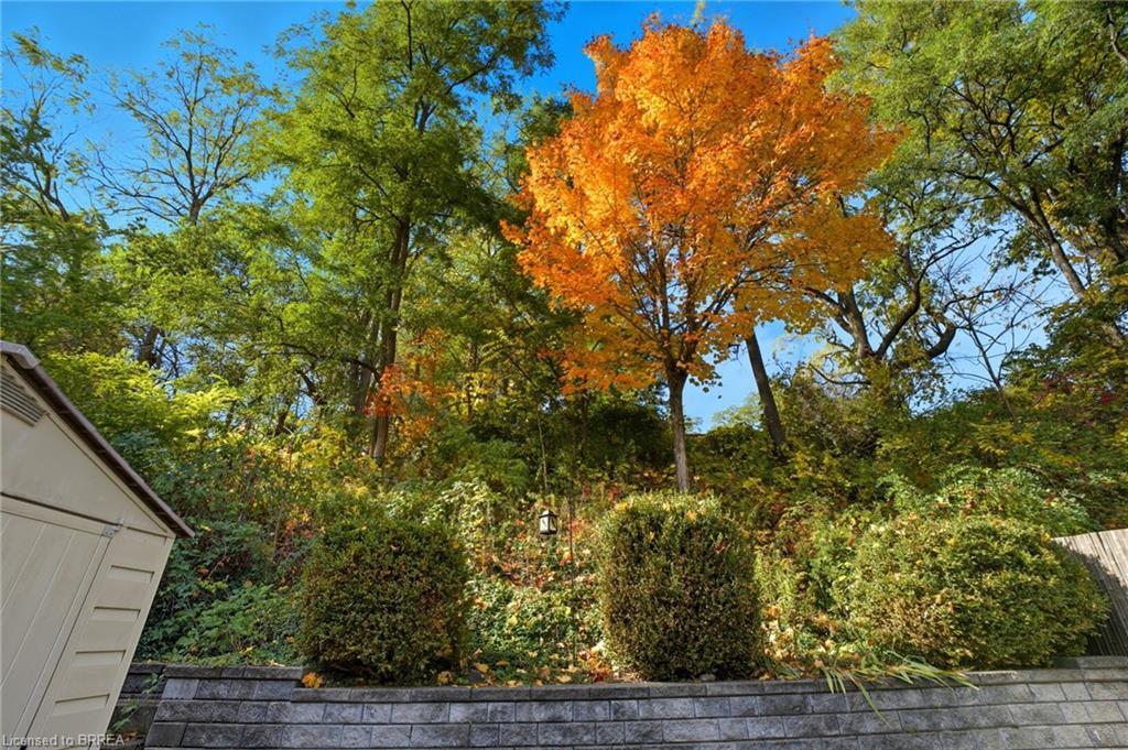 7 Acres Street, Paris, ON - Outdoor