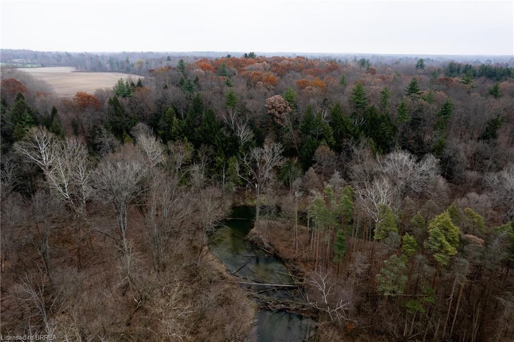 1739 Tenth Concession Road, Langton, ON