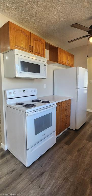 25 Sheldon Street, Brantford, ON - Indoor Photo Showing Kitchen