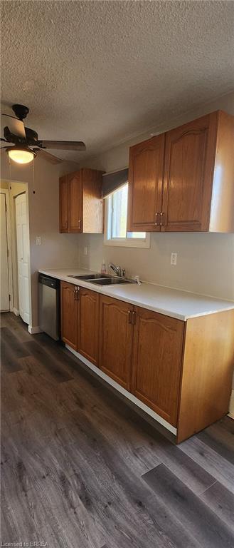 25 Sheldon Street, Brantford, ON - Indoor Photo Showing Kitchen With Double Sink