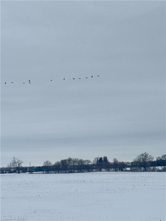 135 Robinson Road, Brantford, ON