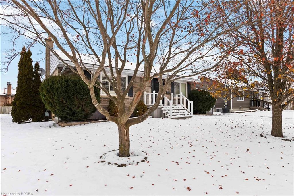 10 Albemarle Street, Brantford, ON - Outdoor