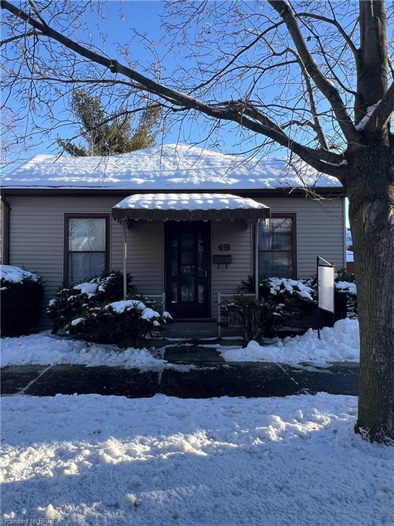 49 Pearl Street, Brantford, ON - Outdoor