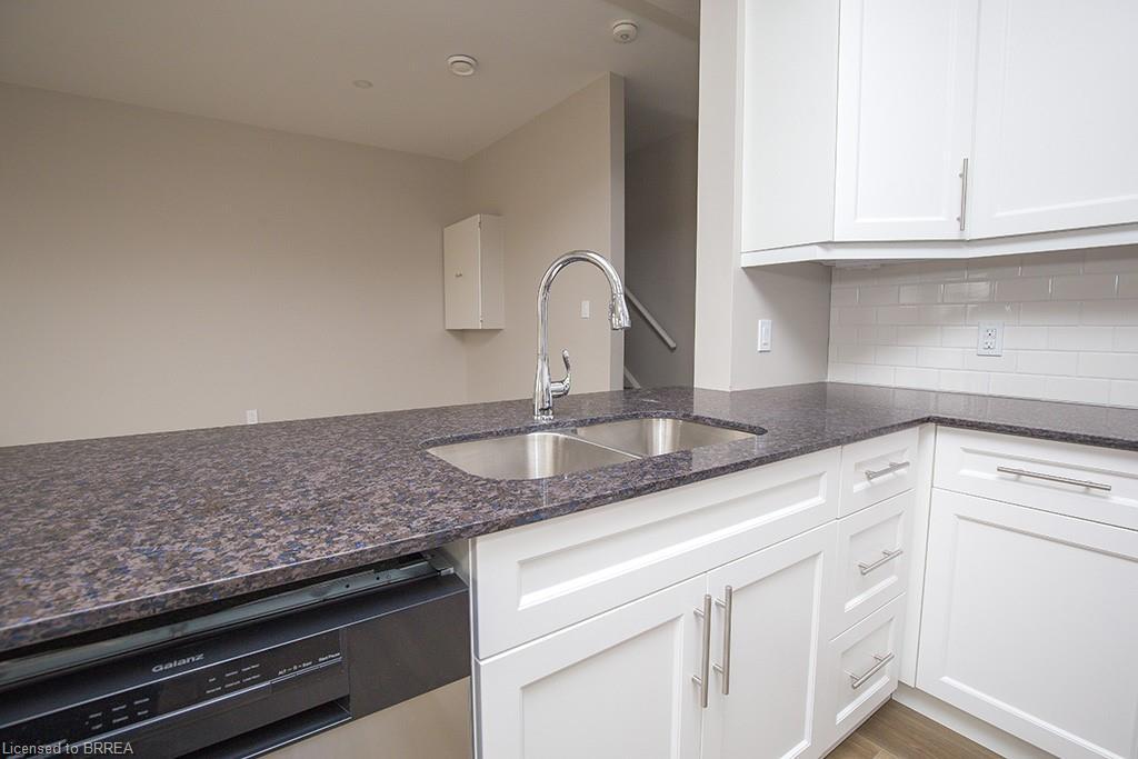 355 Wellington Street, Brantford, ON - Indoor Photo Showing Kitchen With Double Sink